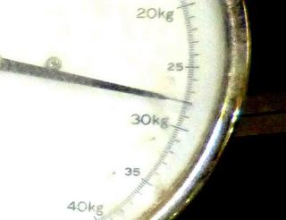 55.jpg